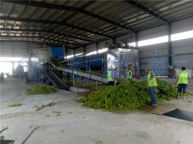 1722417594177057.jpg 山東滸苔烘干項目現(xiàn)場 (1).jpg